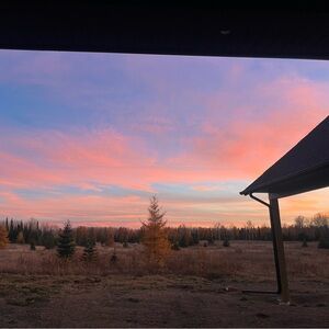 Meet your Posher, Claire